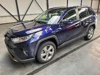Schade overig Toyota Rav-4 Hybrid 2.5 131-KW Automaat 2-WD Panoramadak 2019/1