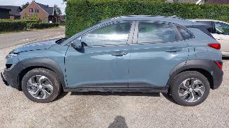 Schade aanhangwagen Hyundai Kona hybride 2022/1