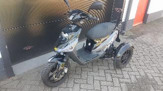 dañado motos PGO  PGO driewielscooter 2012/1